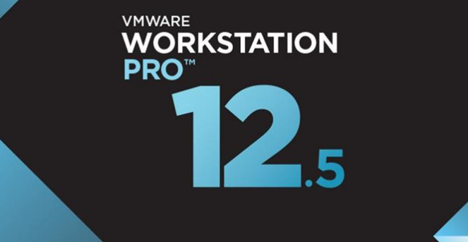 Vmware Workstation Pro ;ogo